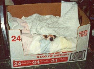 In hiding