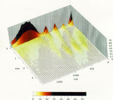 Bird 558 Phase 5 3D Histogram